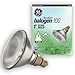 GE Lighting 17986 100-Watt 1500-Lumen PAR38 Halogen Flood Light Bulb, 1-Pack