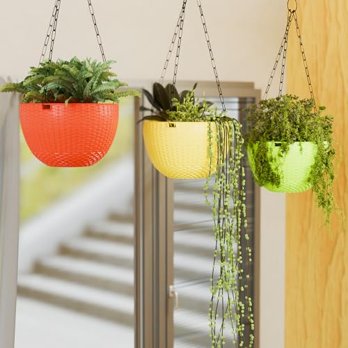 Image of YUCCABE ITALIA SHERA URO-Basket Plastic Flower Pot with Drainage Holes Round Planter Pot Suitable for Inddor Outdoor Kitchen (Yellow, 6 INCH - 6 Pcs)