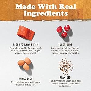 Now Recent Dry Canine Meals for Massive Breed Puppies Turkey Salmon and Duck Recipe 25 Lbs  Grain Free Pet Meals for Massive and Large Breeds  Cucciolini Doodles Now recent dry canine meals for massive breed puppies turkey salmon and duck recipe 25 lbs  grain free pet meals for massive and large breeds   cucciolini doodles