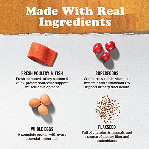 Now Recent Dry Canine Meals for Massive Breed Puppies Turkey Salmon and Duck Recipe 25 Lbs  Grain Free Pet Meals for Massive and Large Breeds  Cucciolini Doodles Now recent dry canine meals for massive breed puppies turkey salmon and duck recipe 25 lbs  grain free pet meals for massive and large breeds   cucciolini doodles