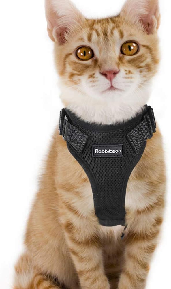 rabbitgoo Cat Harness Escape Proof, Adjustable Small Pets Vest Harnesses, No Choke No Pull Design for Best Safety and Comfort - Soft Mesh Kitten Puppy Harness with Reflective Strips, Black