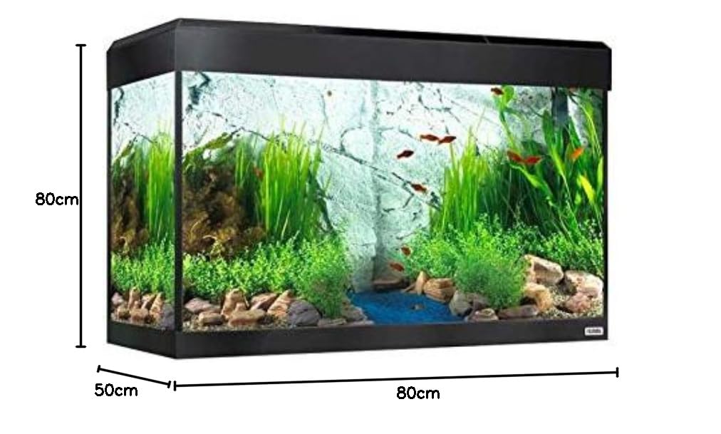 Kit Acquario con Illuminazione LED Bluetooth Fluval Roma, 125 l, Nero