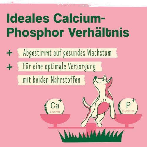 ida+ – Junior Complex 400g – Vitamine & Mineralstoffe für Hundewelpen – Gesundheitsprodukte für Hunde für ideales Wachstum von Welpen - Nahrungsergänzungsmittel Hund - Mineralien für Hunde