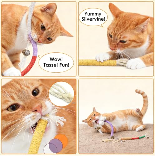 NYPRIC 6 Pack Cat Chew Rope Toys with Silvervine Ball for Cats - Interactive Teething Toys for Kittens, Promotes Teeth Cleaning & Deters Wire Chewing — view 5