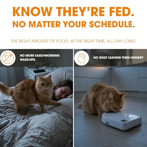 Cat Mate C500 Automatischer Futterautomat mit Digitalem Timer, Weiß