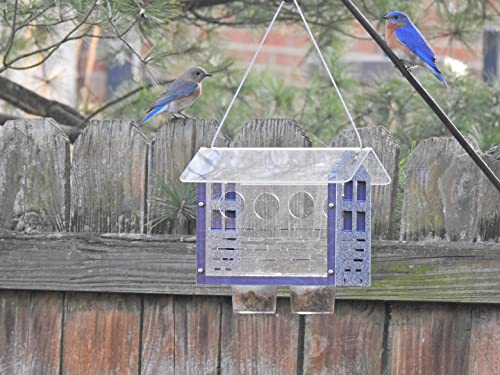 Jcs Wildlife Enclosed Bluebird Feeder 2.0 #TOP7