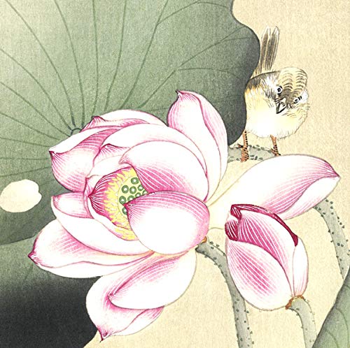 Amazon.co.jp: 小原古邨 版画 蓮に雀 49×26.5cm 複製 : ホビー