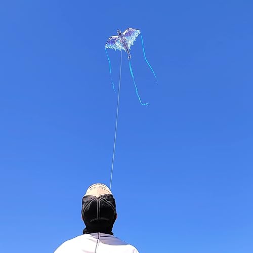 Miniatura 8 de Dragon Kite para niños y adultos y carrete de cuerda de cometa