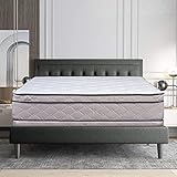 Continental Sleep 13-Inch Soft Foam Encased Hybrid Eurotop Pillowtop Innerspring Mattress And 8