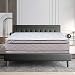 Continental Sleep Fifth Ave Collection, Fully Assembled Mattress Set With 13" Soft Euro Top Orthopedic Queen Mattress and 8" Box Spring