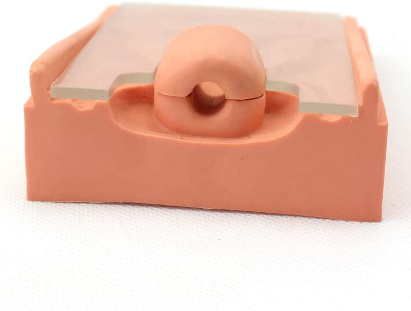 Modello di Guida alla Contraccezione Modello di Addestramento alla Contraccezione Intrauterina Modello di Dispositivo per Il Parto Interno Ed Esterno Dell'Utero Femminile Display Didattico