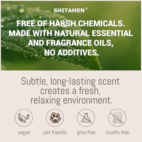 Image of Car Air Freshener, Stone Air Freshener, Automotive Odor Eliminator for Visor Clip- Car Fresheners Long Lasting - CLIP INCLUDED (Pine /Starter Kit)