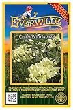 Everwilde Farms - 10 Cream Wild Indigo Native Wildflower Seeds - Gold Vault Seed Packet