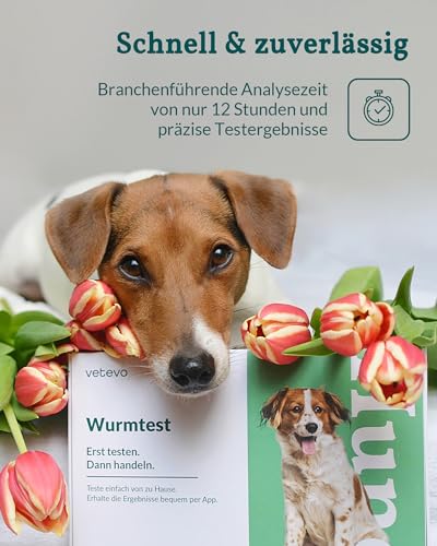 vetevo Wurmtest Hund Pro, Verlässlicher Test auf Giardien, Spulwürmer, Hakenwürmer, Leberegel, Peitschenwürmer & Kokzidien, bei Durchfall Hund