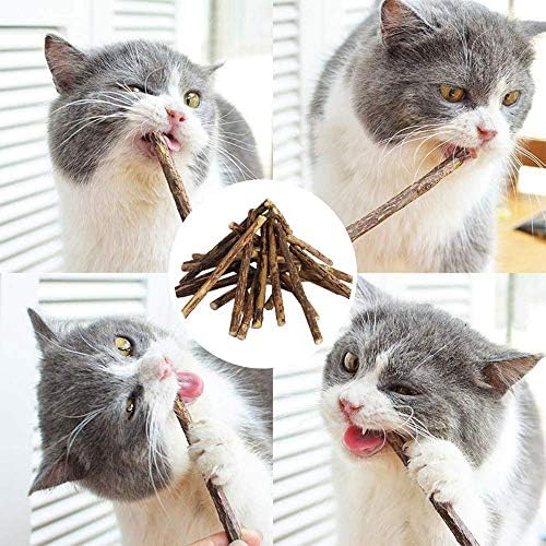 30PCS/Set Cat Catnip Sticks, Cat Chew Sticks, Cat Catnip toys, Natural Matatabi Silvervine Chew Sticks, Teeth Grinding Chew toys for Cat, Dental Catnip Toys for Cat Kitten