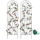 Macteyia 2 Pack 70.8' H x 19.7' W Metal Garden Trellis...