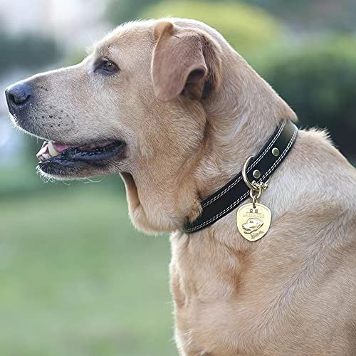 Zqdj-The Shield Archaize Pure Copper Dog Tag 3D Relief Coinage Process,Dog Tags Engraved For Pets Dog Name Tag Id Tags,Laser Machine Deep Engraving Lettering Front And Back. (Labrador Retriever) #TOP1