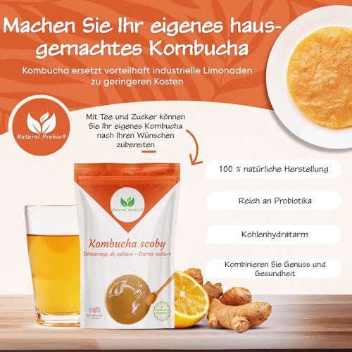 Natural Probio® Original Kombucha Scoby - Culture Starter Kit - Authentic Strain Kombucha Mother + Vollständige Anleitung, Rezept und Tipps + Kostenloser Zugang zum E-Book