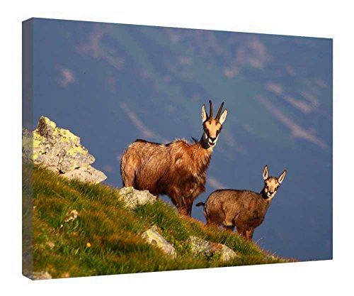 Toile tendue Tatry Pologne déco murale salon cadre bois 40x50 cm