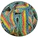 Smarty Stop Every Sour Belts Flavor Gummy Candy 1 Pound (Rainbow)