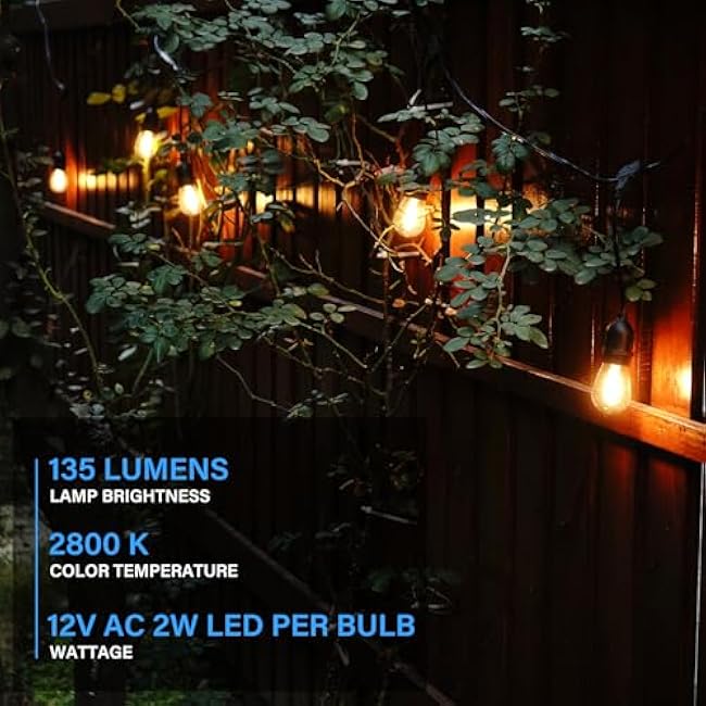 GOODSMANN LED Low Voltage String Lights 12V AC 50FT 10PCS 2W Bulbs 135 Lumens Hanging Landscape Lighting 2800K String Weatherproof Decorative Light for Patio Light