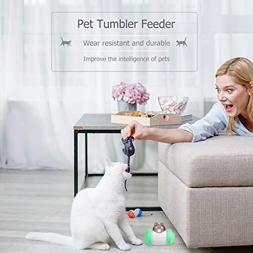 TEHAUX Alimentador de quebra-cabeça de animal de estimação Brinquedo de quebra-cabeça de animal de e