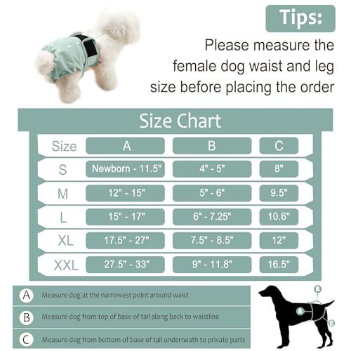 Image of Female Dog Diapers 5Pcs - Premium Reusable Diapers for Doggie in Heat - Highly Absorbent Dog Diapers Female for Pet Incontinence with Adjustable Snaps, Flowers, XXL