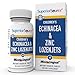Superior Source Child Formula Echinacea and Zinc Lozenjets Nutritional Supplements, 60 Count