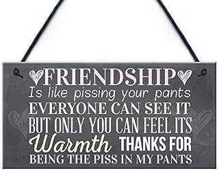 RED OCEAN Best Friend Sign Friendship Gift Funny Thank You Novelty Birthday Shabby Chic Hanging Plaque