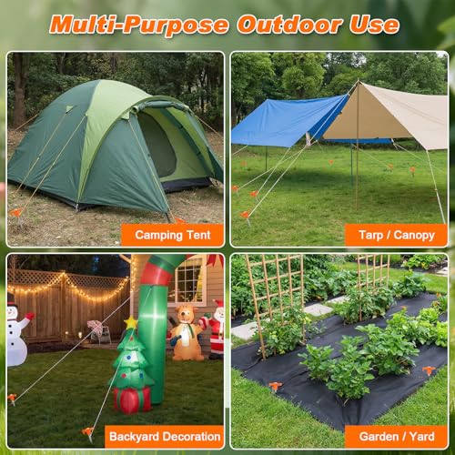 FEED GARDEN 10 Pack Galvanized Steel