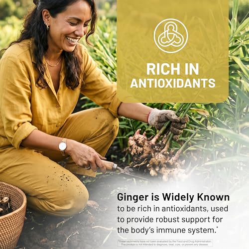 Image of NatureWise Organic Ginger Root 1200mg - USDA Organic - Certified Organic by CCOF - Digestive Comfort & Immune System Support - Vegan - Non-GMO - USA Manufactured - 90 Capsules[45-Day Supply]