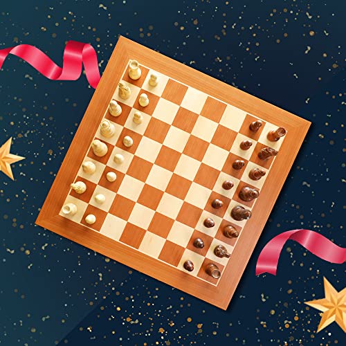 Chessnut Pro tablero electrónico profesional de ajedrez miniatura 4