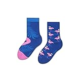 ZOOKSY