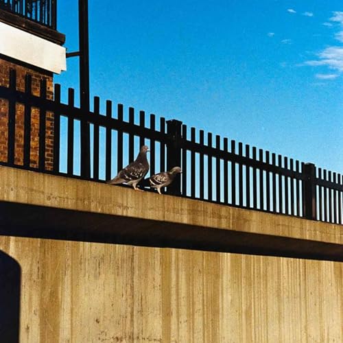 Always Two Skies of Blue There Are with Forrest Phillips and Emily Pineapple cover art