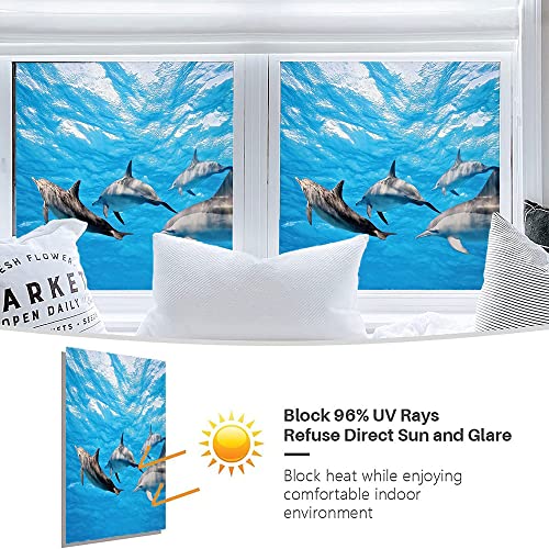 Dolphin Privacy Window Film, Underwater Photography Of Dolphins Happily Swimming Ocean Animal Life Image Print, Glass Film For Home Office Living Room, W35.4 X L78.7 Inch Grey Blue #TOP3