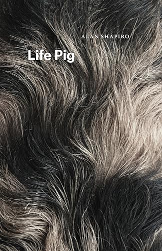 Life Pig