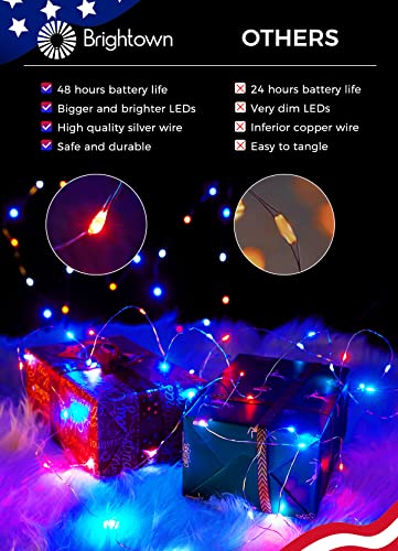 Image of Brightown 4th of July Decor Patriotic Fairy Lights, 7 FT. Silver Wire Red White Blue String Lights, Firefly Starry Moon Lights, Micro LED Mini Fairy Lights for Jars DIY Picture Wedding