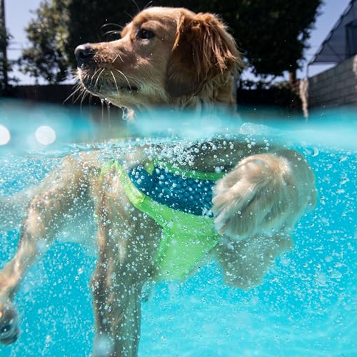 Outward Hound Standley Sport Green Performance Dog Life Jacket, XL by Outward Hound - Image 7