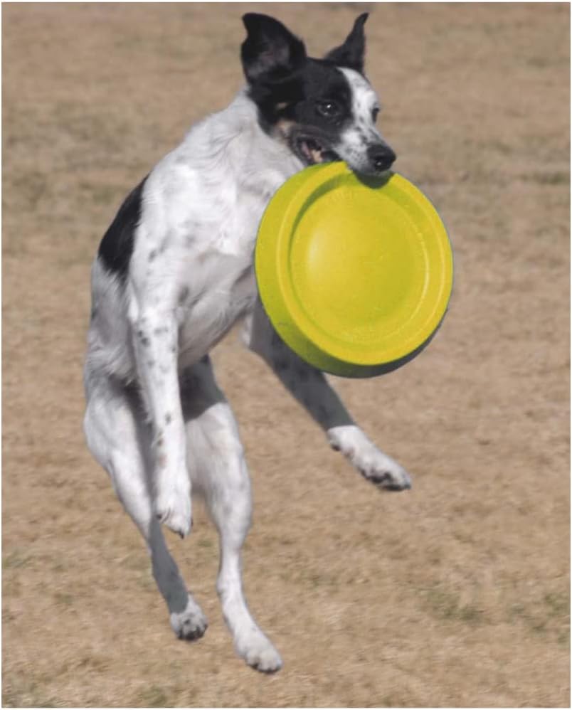 Starmark 11" Easy Glider Durafoam Disc (Colors May Vary)