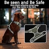 HEELE Dog Harness, No Pull Dog Harness Small, Release on Neck, Front Back Clips Dog Vest Harness Reflective Adjustable Padded, Easy Control Handle for Outdoor Walking Training, Green, S - Image 5