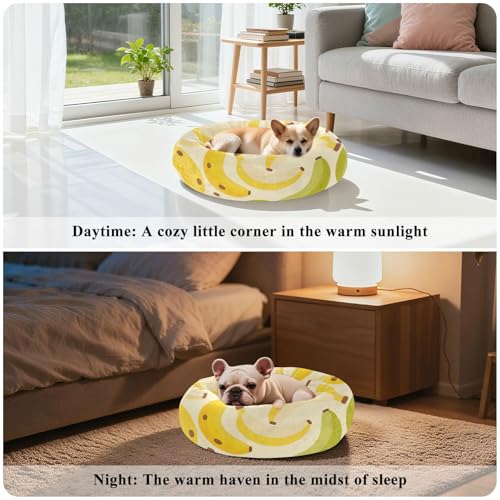 Lit pour chat et chaton amovible S jaune