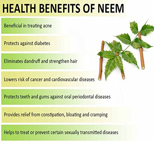 Image of Neem Carrier Oil - 100% Pure Natural Oil & Undiluted Cold Pressed Refined Cosmetic Grade For Aromatherapy, Skin Treatment, Hair Care, Face (300ML)