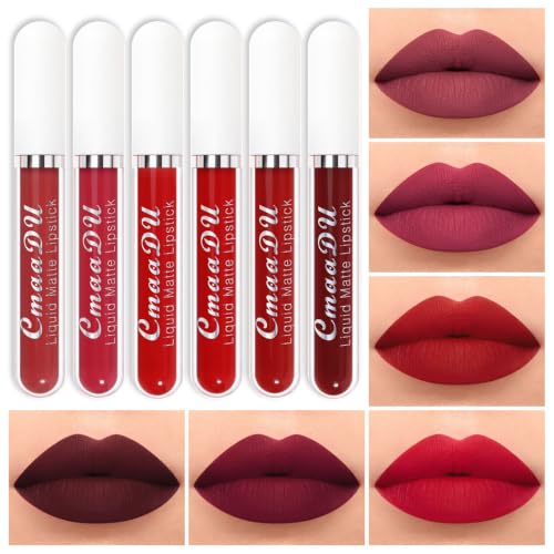Image of evpct 6Pcs Liquid Matte Lipstick Lipgloss Set for Women, Dark Deep Bright Ruby Blood Brick Plum Mauve Rose Red labiales mate 24 horas originale matte larga duracion 24 Hour Lipstick Long Lasting