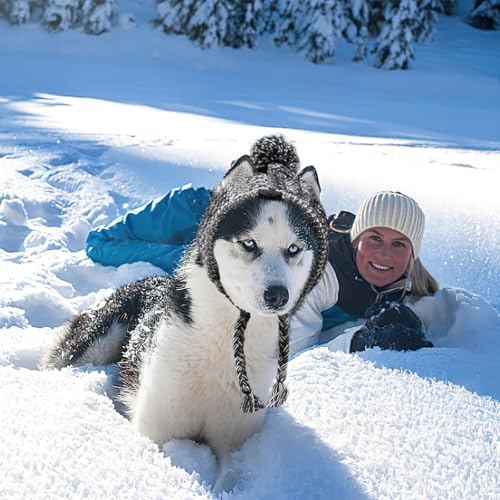 ACTOYS Hundemütze - Wintermütze für Kleine, Mittlere und Große Hunde (S), Französischer Bulldogge