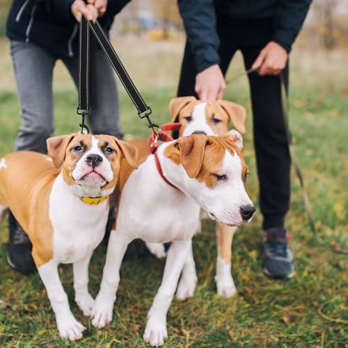 QWORK® Doppelleine, Anti-Zieh Hundeleine, 360° Drehung Reflektierend Trainingsleine, für Mittelgroße bis Große Hunde (Schwarz)