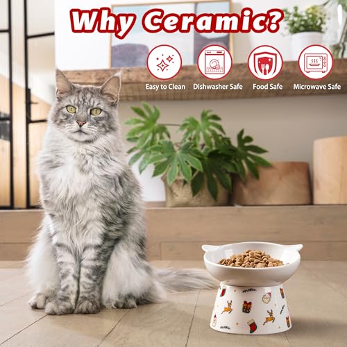 Wellbro Ceramic Raised Cat Bowl,Tilted Raised Bowl Anti Vomit Bowls for Indoor Whisker Friendly Pet Feeder for Cats Puppies, Microwave and Dishwasher Safe
