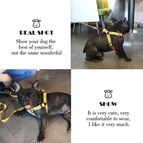QQPETS Dog Harness Leash Set Adjustable Heavy Duty No Pull Halter Harnesses for Small Medium Large Breed Dogs Back Clip… - Image 7