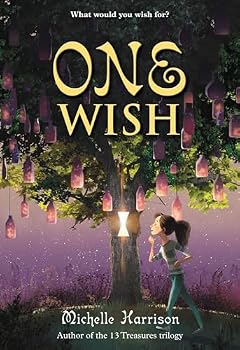 Hardcover One Wish Book