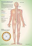 Meisterpunkte: Akupunkturtafel A3