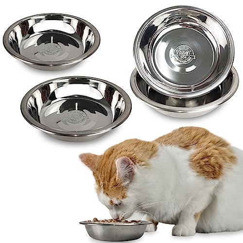 GCVOPTON 4 Pcs Stainless Steel Cat Bowls 5.5 Inches Shallow Durable Perfect for Small & Medium Cats Indoor Use Wet Food